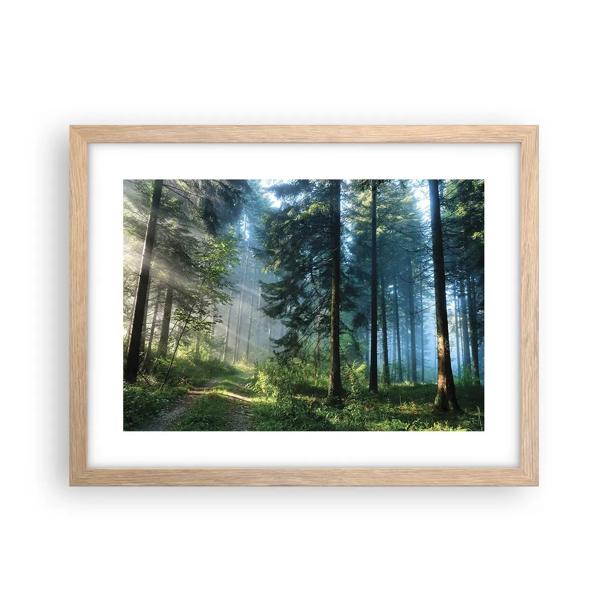 Poszter világos tölgy keretben - Sugárzó reggel - 40x30 cm