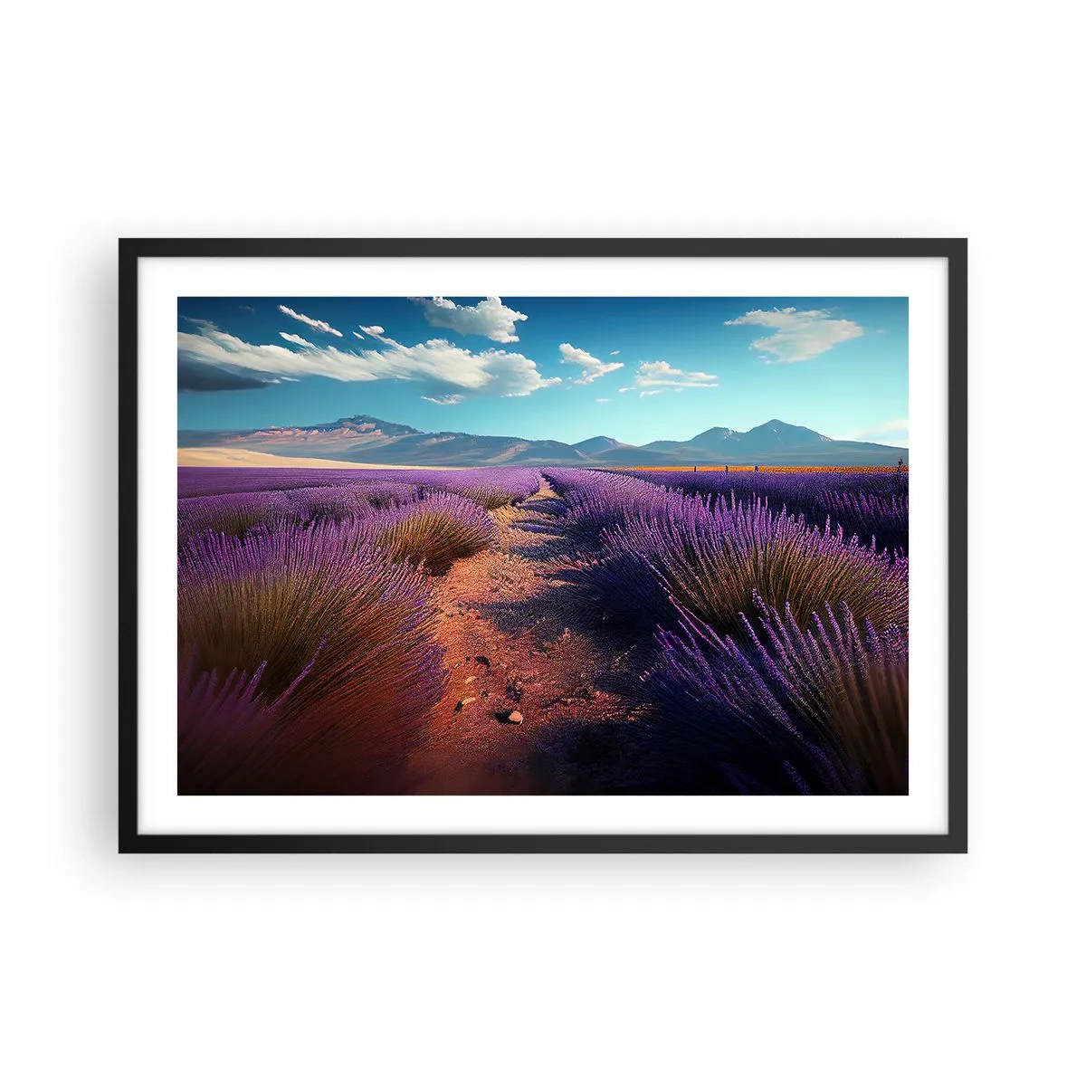 Poszter fehér keretben - Illatos mezők - 70x50 cm