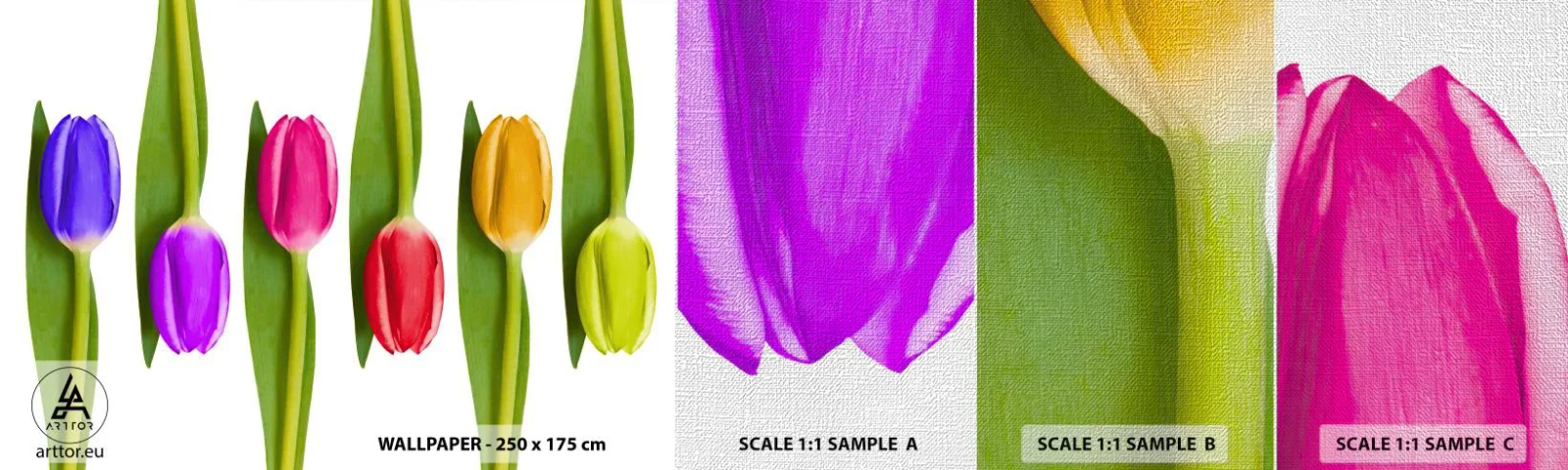 Fotótapéta Minta Premium Canvas - Szivárvány kompozíció - Virágok, Tulipánok, Természet - 100x30 cm
