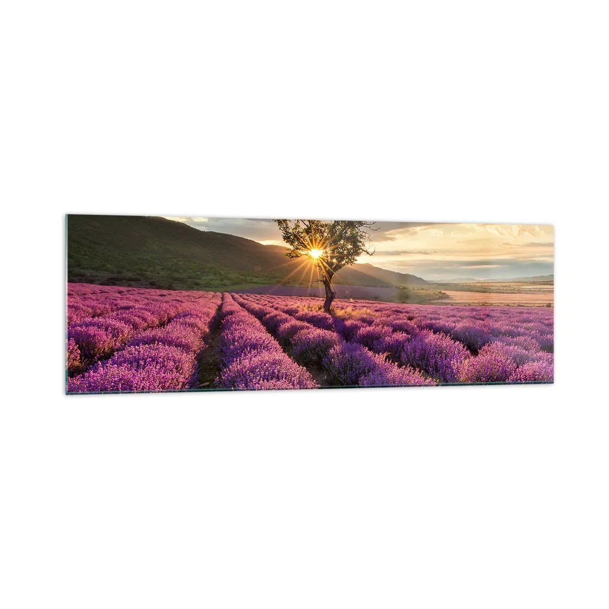 Üveg kép - Lila színű illat - 160x50 cm