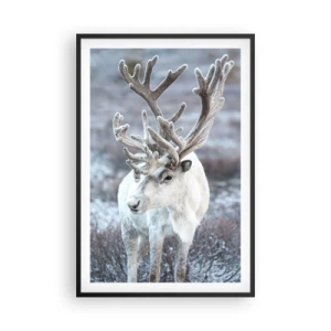 Poszter fehér keretben - Portré a napon - 61x91 cm