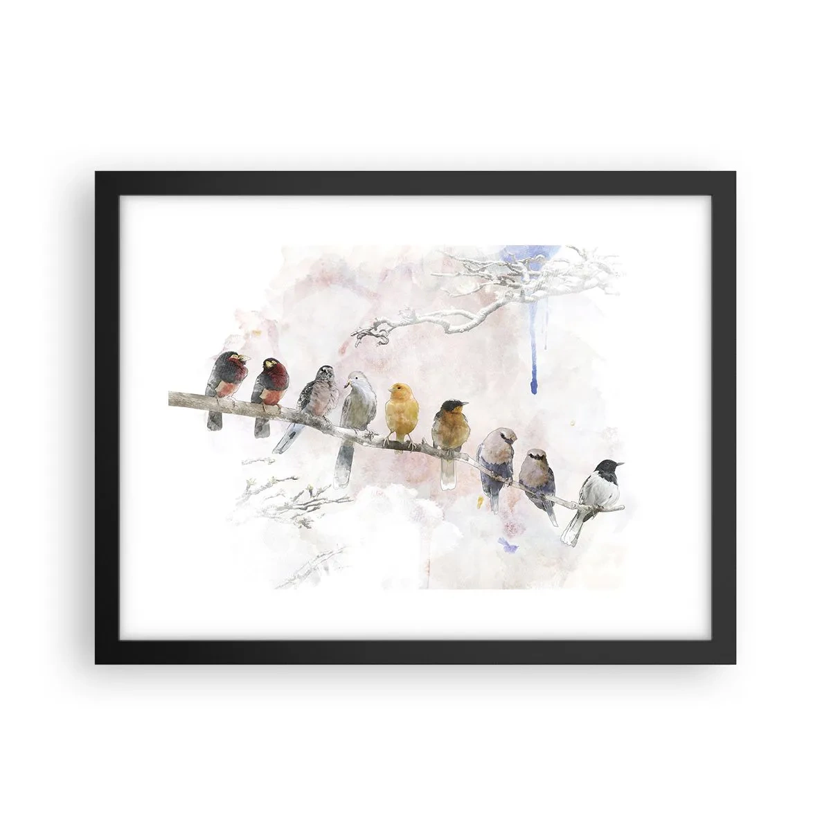 Poszter fehér keretben - Szárnyas találkozó - 40x30 cm