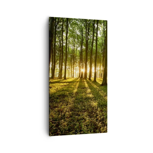 Vászonkép - Minden tavasz fotója - 55x100 cm