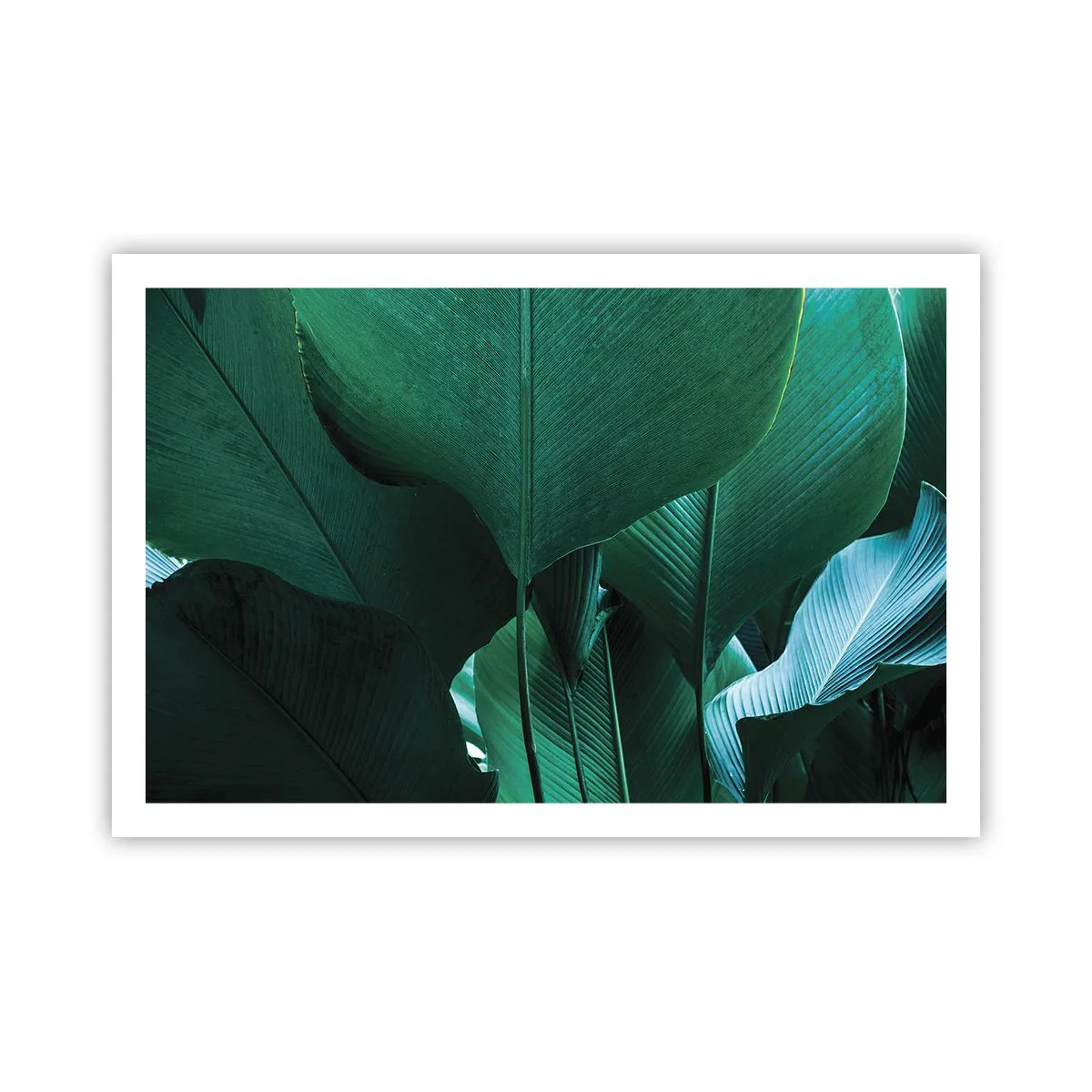 Poszter - A fény felé nézve - 91x61 cm