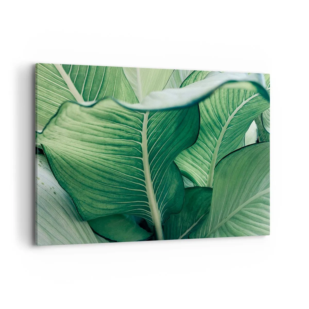 Vászonkép - Intenzíven zöld élet - 100x70 cm