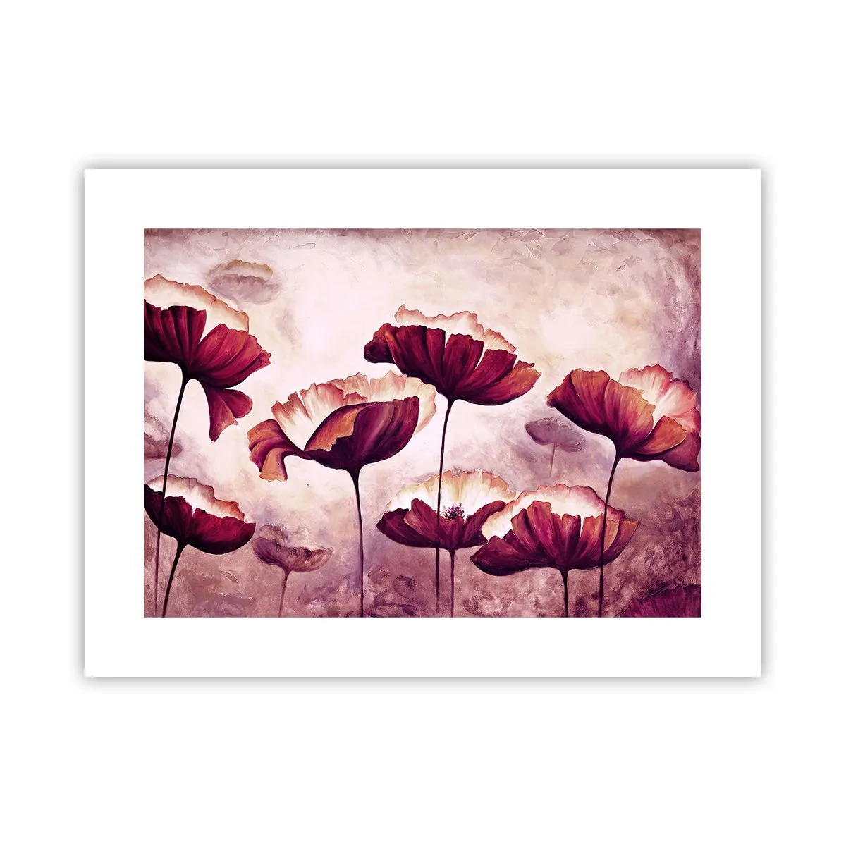 Poszter - Piros és fehér szirom - 40x30 cm