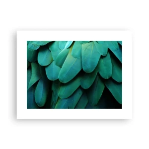 Poszter - A papagájtermészet precizitása - 40x30 cm