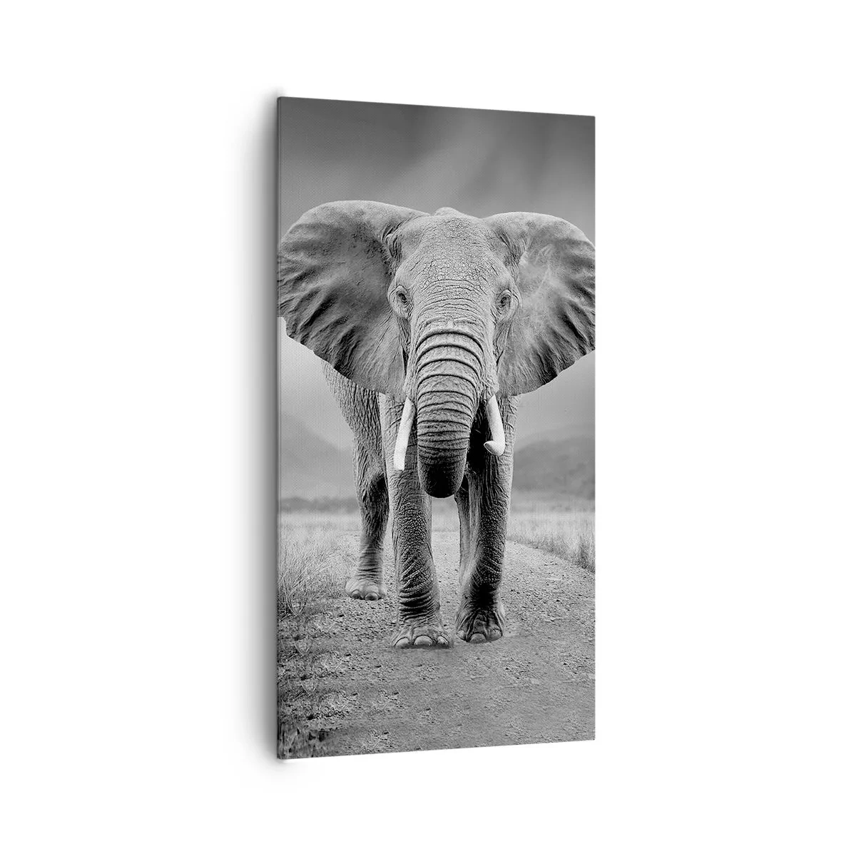 Vászonkép - A házigazda üdvözli - 65x120 cm