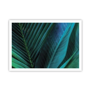 Poszter - A zöld anatómiája - 100x70 cm