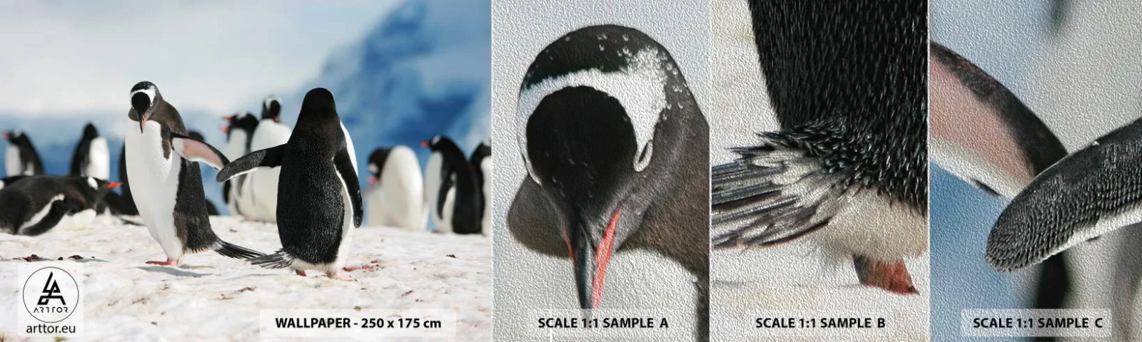 Fotótapéta Minta Premium Sand - Tánc a havon - Pingvin, Antarktisz, Tájkép - 100x30 cm