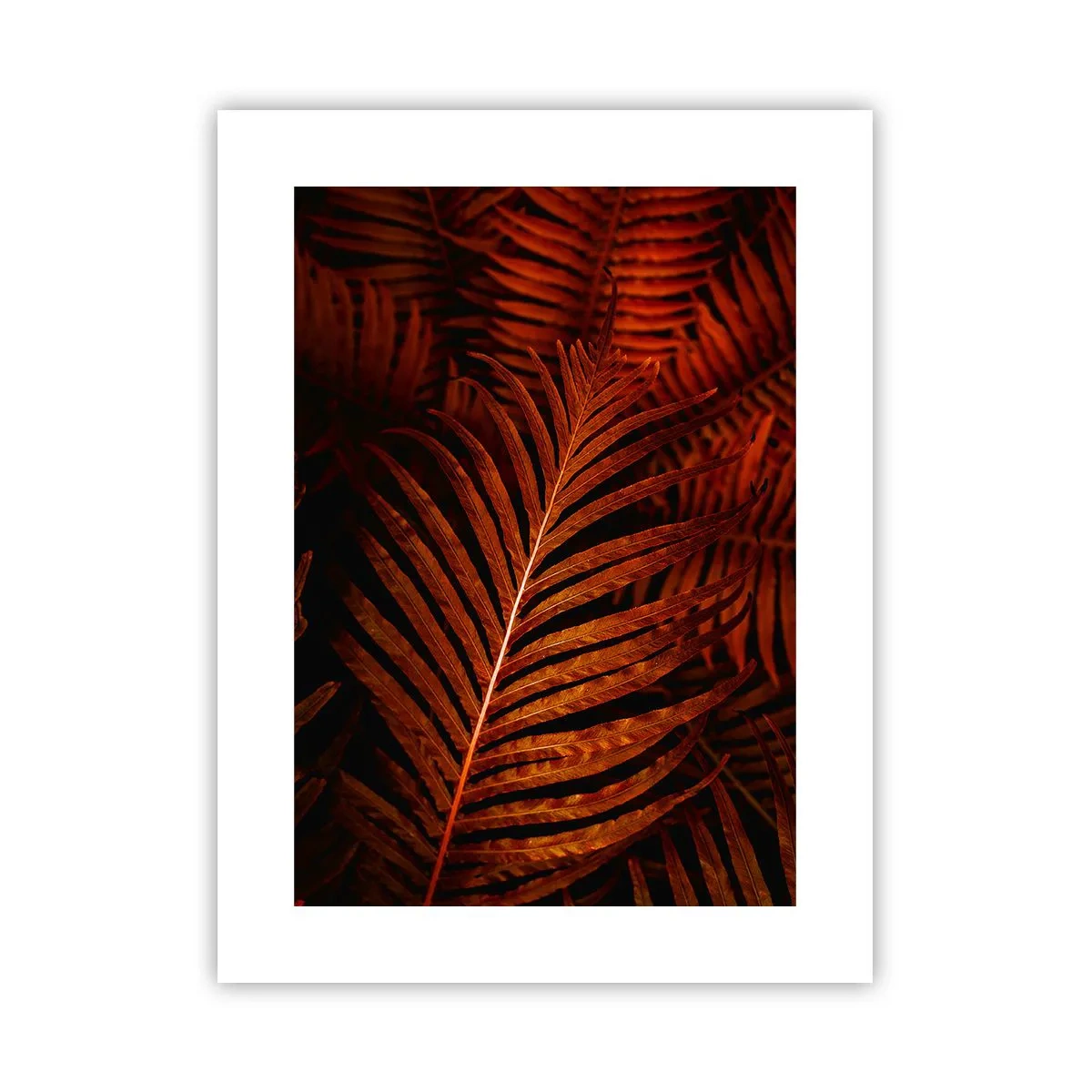 Poszter - Az élet vörös színe - 30x40 cm