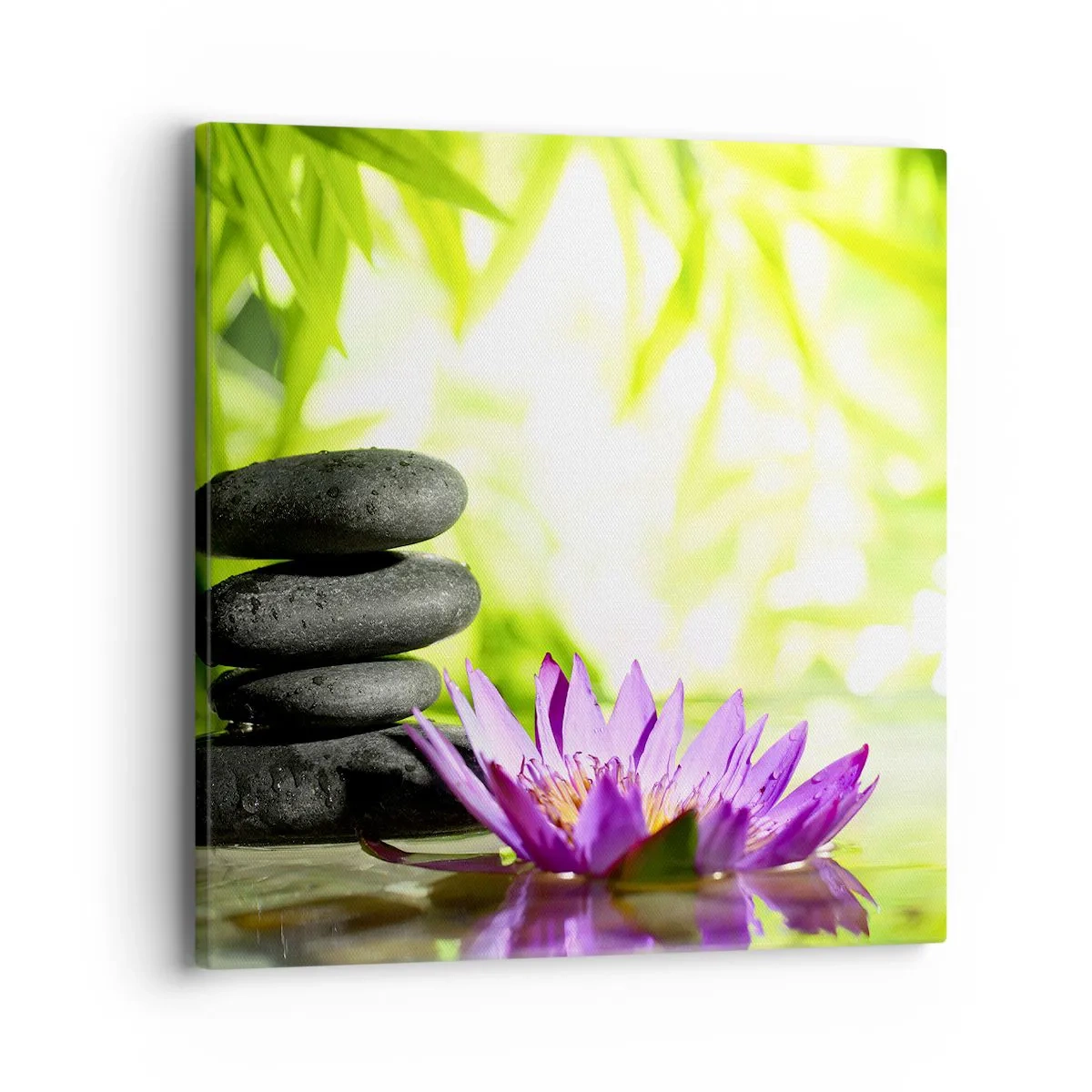 Vászonkép - Egy bambusz bokorban - 40x40 cm