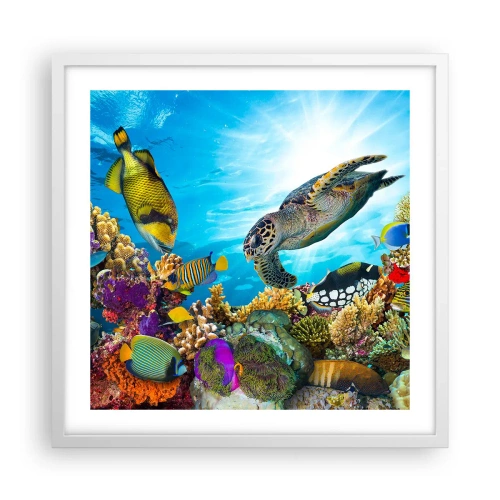 Poszter fekete keretben - Korall sétány - 50x50 cm