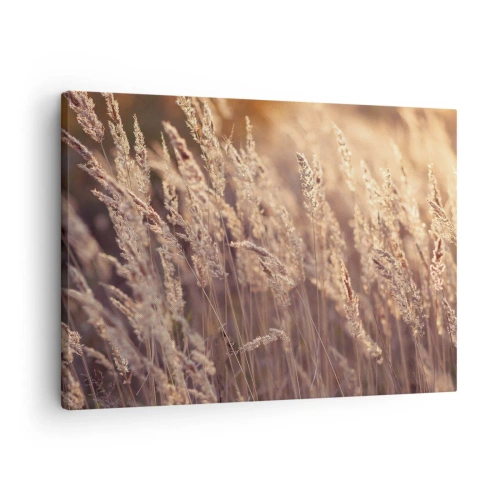 Vászonkép - Aranyló füvek a lenyugvó nap hátterében - 70x50cm - Készen az ősz fogadására - Modern fali dekoráció nappalihoz és hálószobához ARTTOR