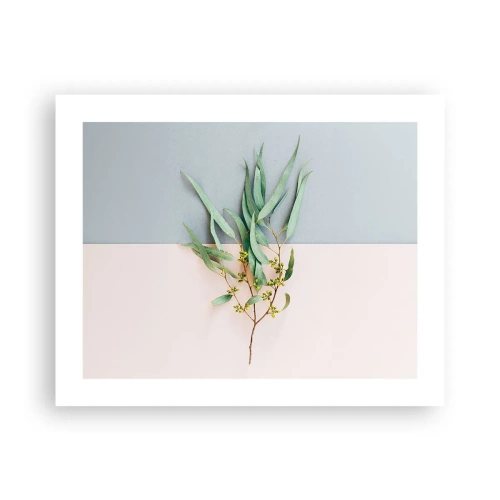 Poszter - Pasztell finomság - 50x40 cm