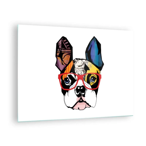 Üveg kép - Bulldog színes szemüveget visel fehér alapon - 70x50cm - Értelmiségi - Modern fali dekoráció nappalihoz és hálószobához ARTTOR