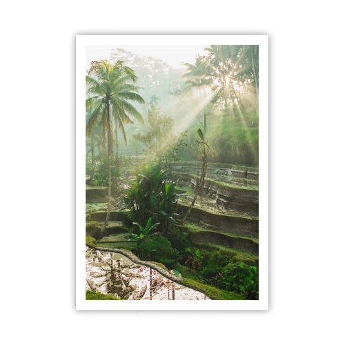 Poszter - Felnőni a napon - 70x100 cm