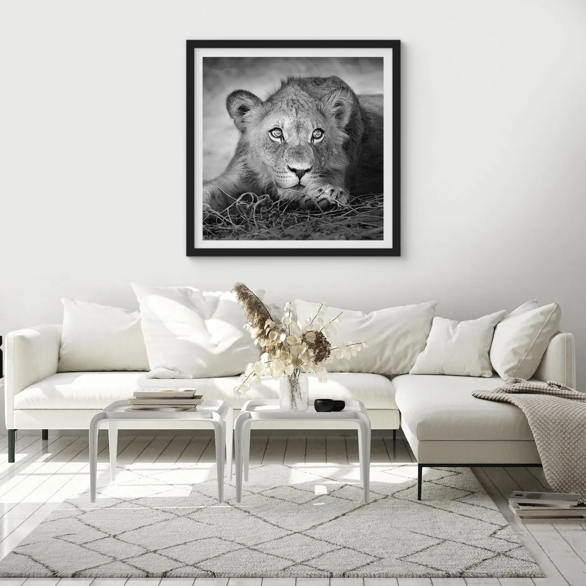 Poszter fehér keretben - Királyi kölyök - 50x50 cm
