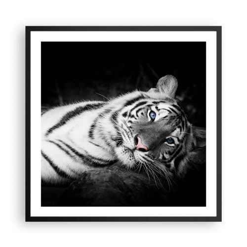 Poszter fehér keretben - Vadság és nyugalom - 60x60 cm