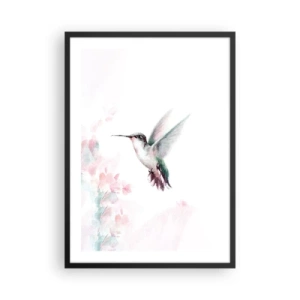 Poszter fehér keretben - Kolibri repülés közben, finom virágos háttérrel - 50x70cm - Reptében lefagyva - Modern fali dekoráció nappalihoz és hálószobához ARTTOR