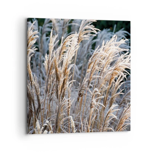 Vászonkép - Zúzmarába öltözött - 70x70 cm