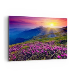 Vászonkép - … És körülötte hegyi fenyő és gyógynövények illata - 120x80 cm