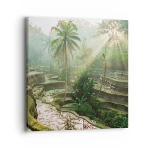 Vászonkép - Felnőni a napon - 40x40 cm