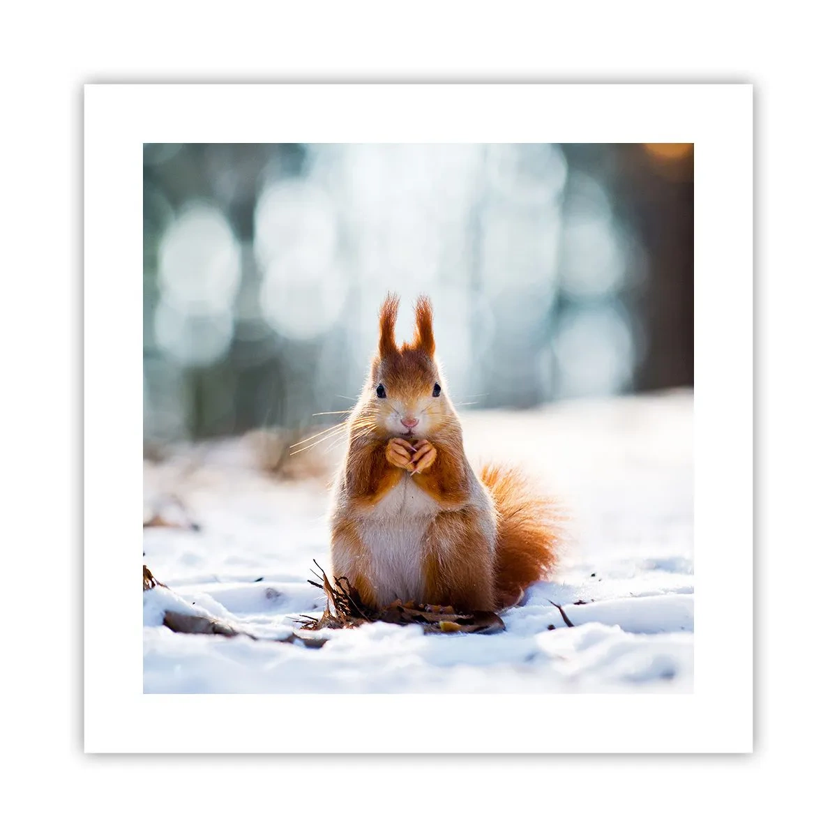 Poszter - Mit nézel? - 40x40 cm