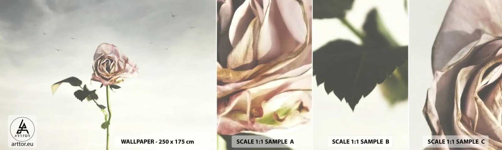 Fotótapéta Minta Öntapadós Deluxe Sticker - Tavasz üdvözlése - Rózsa, Virág, Darab - 100x30 cm