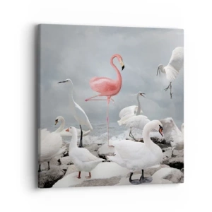 Vászonkép - Hogy kerültem ide? - 40x40 cm