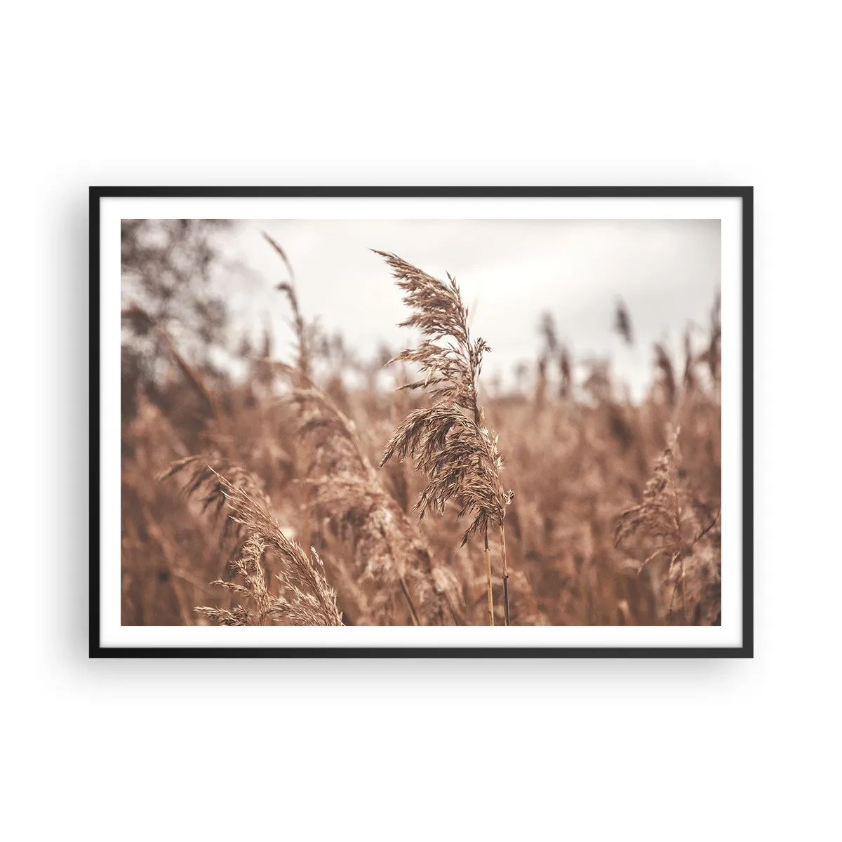 Poszter fehér keretben - Ősz van már a mezőkön - 100x70 cm