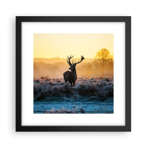 Poszter fehér keretben - Megkoronázott a birtokán - 30x30 cm