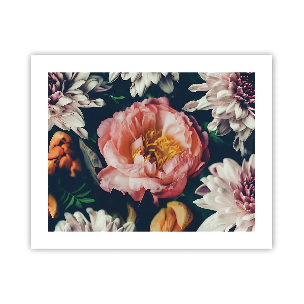 Poszter - Barokk pompával - 50x40 cm