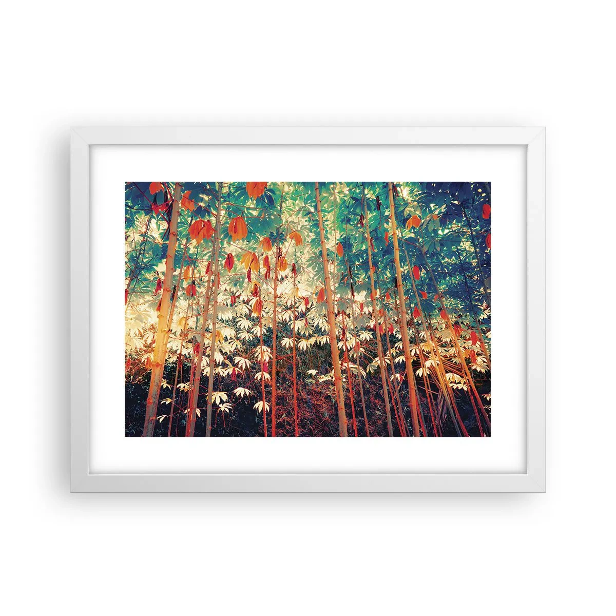 Poszter fekete keretben - A levelek titkos élete - 40x30 cm