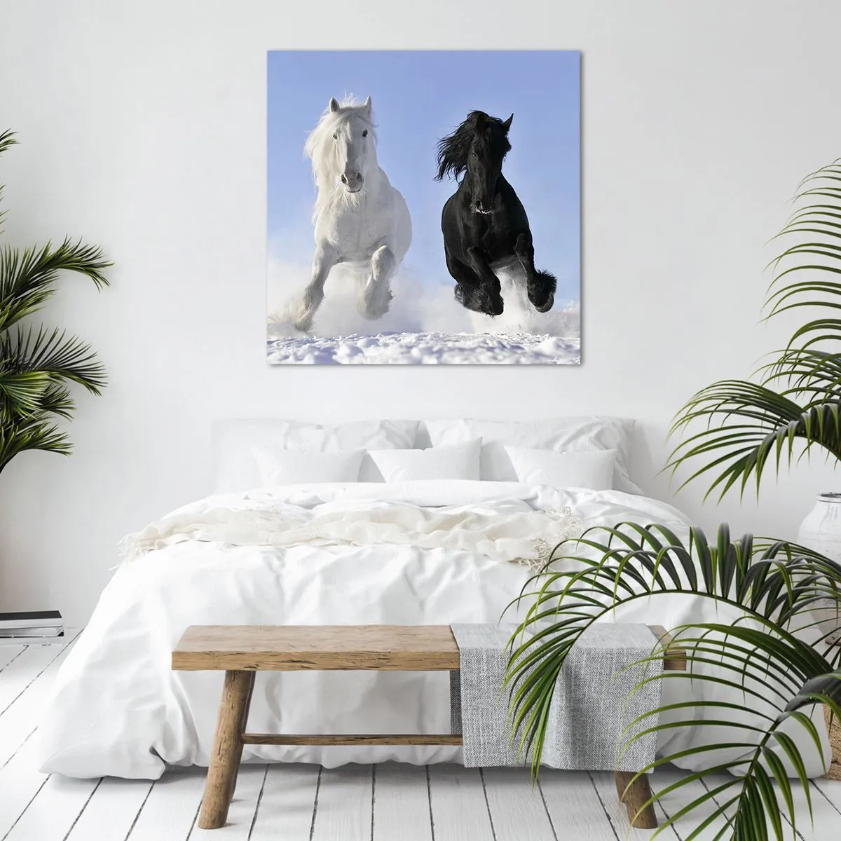 Vászonkép - Fekete-fehér galopp - 60x60 cm