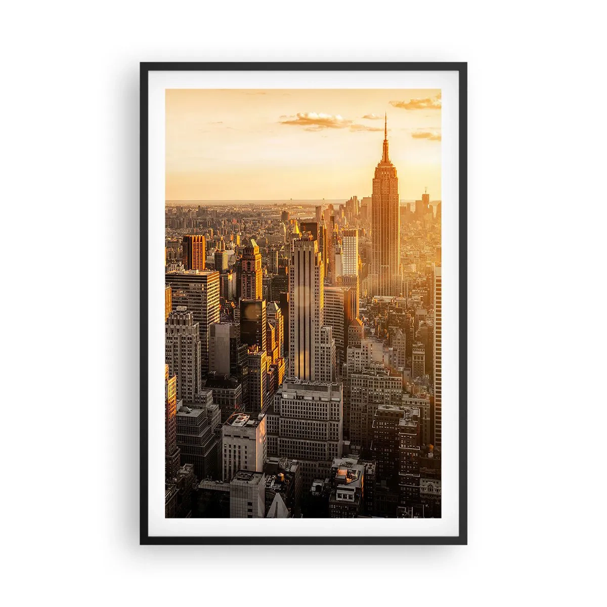 Poszter fehér keretben - Növekedni a napon - 61x91 cm