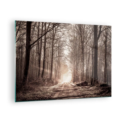 Üveg kép - Erdei út a reggeli ködben - 70x50cm - Erdei katedrális - Modern fali dekoráció nappalihoz és hálószobához ARTTOR