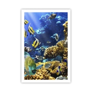 Poszter - Nagy forgalom a nyaraló ösvényen - 61x91 cm