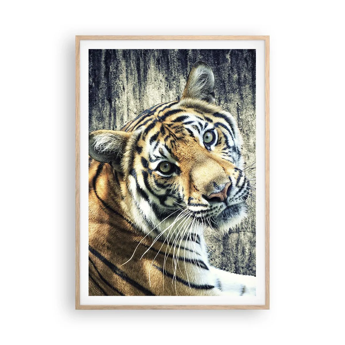 Poszter világos tölgy keretben - Portré a fénysugárban - 70x100 cm