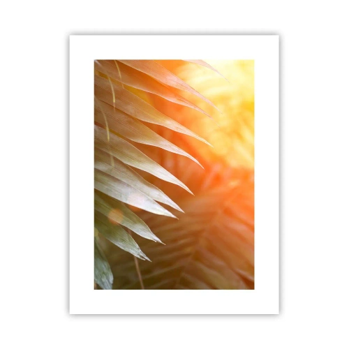 Poszter - Reggel a dzsungelben - 30x40 cm