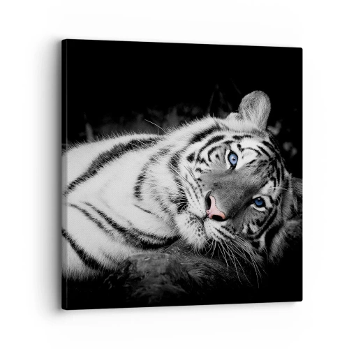 Vászonkép - Vadság és nyugalom - 30x30 cm