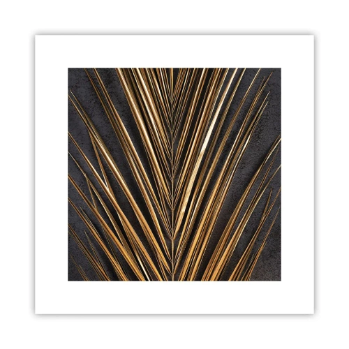 Poszter - A trópusok aranya - 30x30 cm