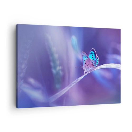 Vászonkép - Egy finom kék pillangó egy száron lila fényben - 70x50cm - A természet gyöngyszeme - Modern fali dekoráció nappalihoz és hálószobához ARTTOR