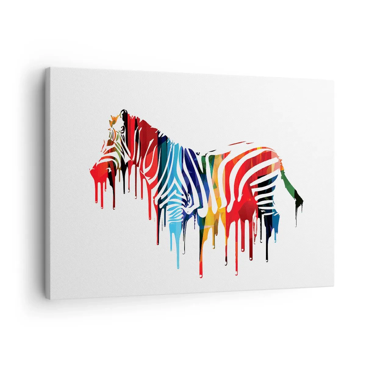 Vászonkép - Absztrakt zebra színes színekben, festékhatással - 70x50cm - Nem csak fekete-fehér - Modern fali dekoráció nappalihoz és hálószobához ARTTOR