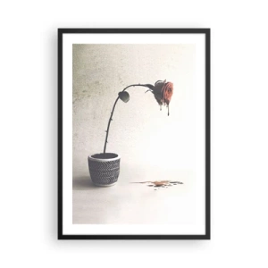 Poszter fehér keretben - Egy cserepes rózsa művészi, áramló hatással - 50x70cm - Rosa dolorosa - Modern fali dekoráció nappalihoz és hálószobához ARTTOR