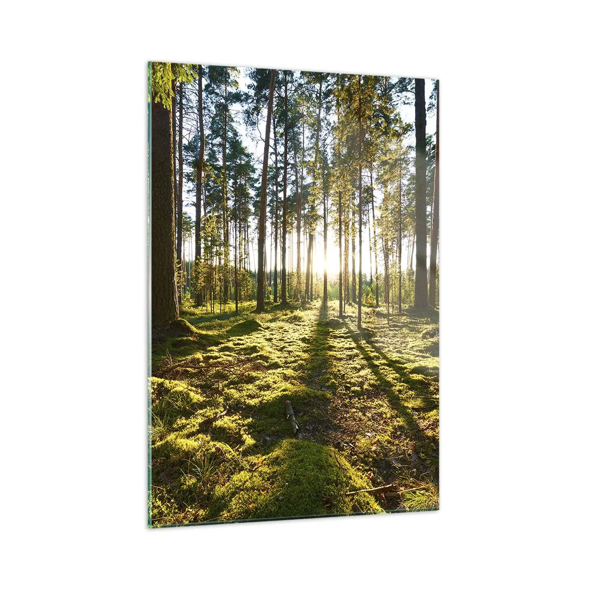 Üveg kép - … A hét erdőn túl - 50x70 cm