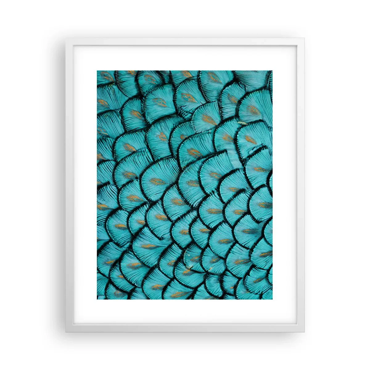 Poszter fekete keretben - A tollak nagy gálája - 40x50 cm