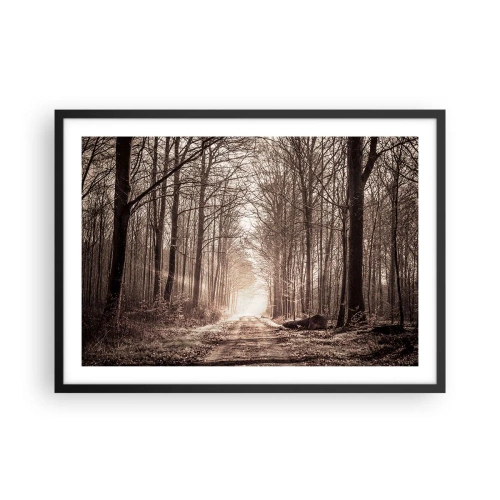 Poszter fehér keretben - Erdei katedrális - 70x50 cm