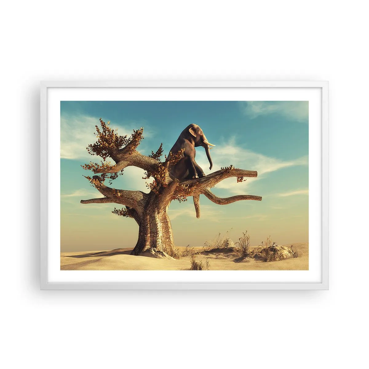 Poszter fekete keretben - Egy új nézőpont - 70x50 cm