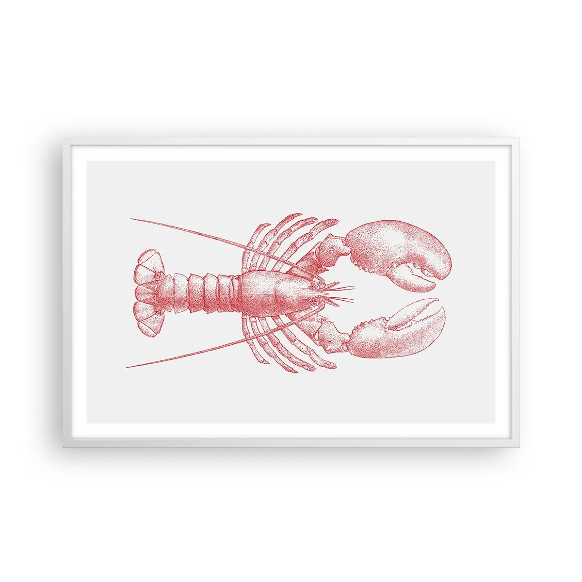 Poszter fekete keretben - Homéroszhoz méltó homár - 91x61 cm